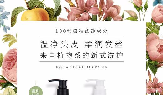 BOTANICAL MARCHE/草木华实 洗护组合 系列JPY带授权招加盟代理 商品图1