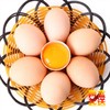 田园生态土鸡蛋（两盒起送） 商品缩略图2