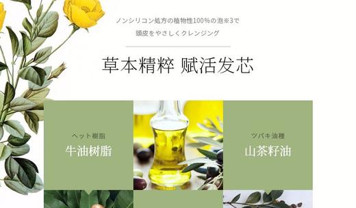 BOTANICAL MARCHE/草木华实 洗护组合 系列JPY带授权招加盟代理 商品图12