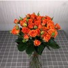 橙芭比玫瑰（5月29日下午取花），一束5支原价48元，团购21元/束！ 商品缩略图2