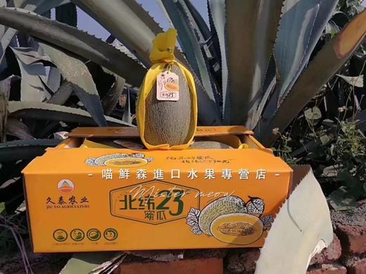 【晓蜜】黄肉脆甜哈密瓜 整颗🛵同城 商品图3