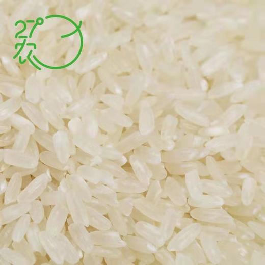27°农五常稻香大米 1KG 商品图4