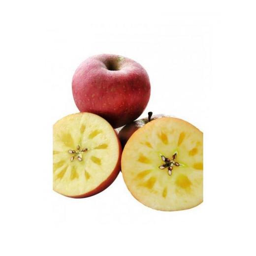 【自营】大凉山丑苹果 中果4.5左右 商品图0