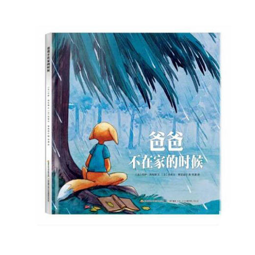 爸爸不在家的时候 商品图0