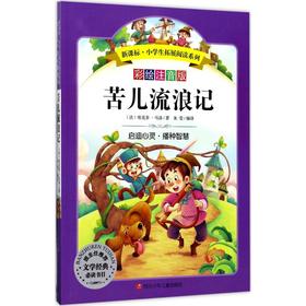 苦儿流浪记