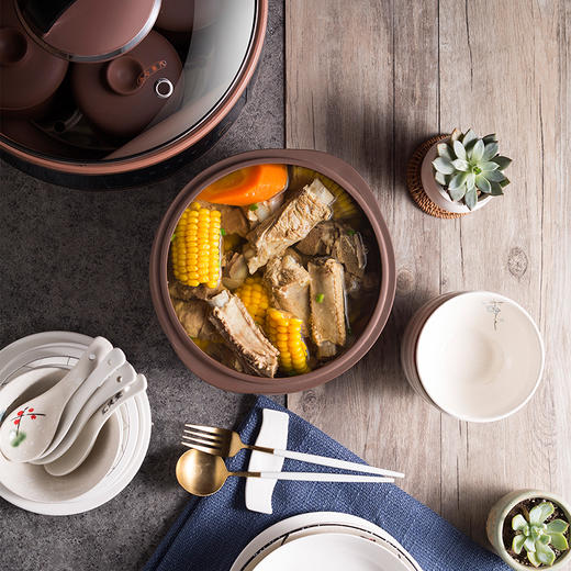 Bear/小熊 DDZ-B45Z1电炖锅大容量紫砂炖锅隔水炖盅煲汤锅全自动 商品图2