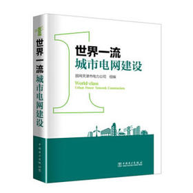世界一流城市电网建设