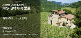 我是无敌虚拟商品