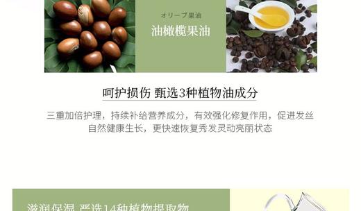 BOTANICAL MARCHE/草木华实 洗护组合 系列JPY带授权招加盟代理 商品图13