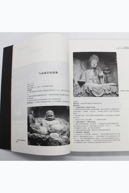 特级教学水墨公开课集（教案+配套课件+教学视频等） 商品图2