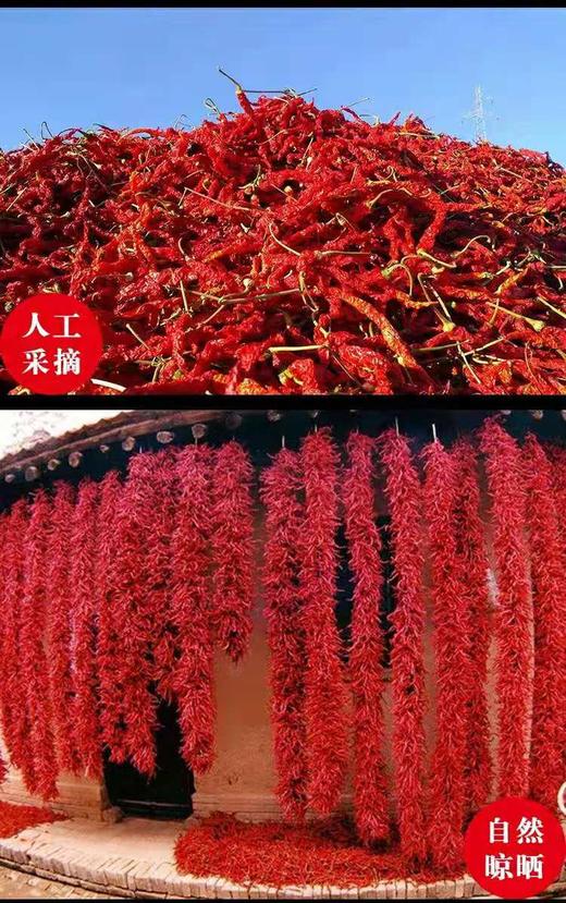 秦绿石碾纯辣面500g（3袋包邮）油泼辣椒 商品图4
