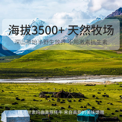 物本源·来自雪域高原·玛曲草原牦牛牛排2.5斤装 商品图3