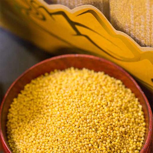【山西广灵小米】500g/袋，国家地理标志产品，色泽鲜红明亮，绵软可口，富有弹性 商品图1
