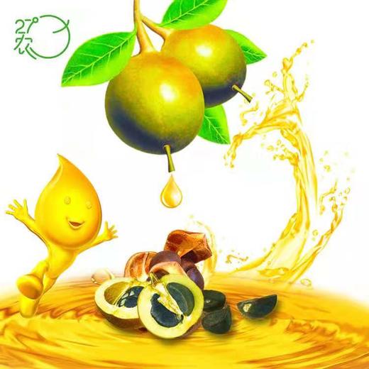 27°农油茶籽油 1L 商品图1