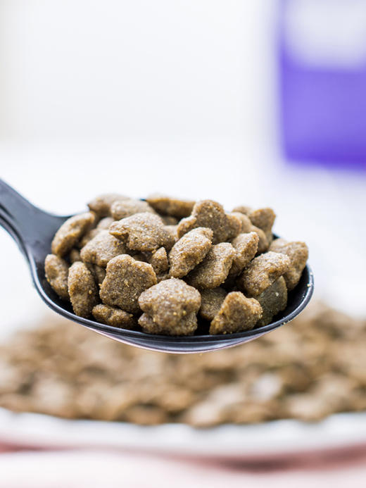 伯纳天纯成猫粮5kg 商品图2