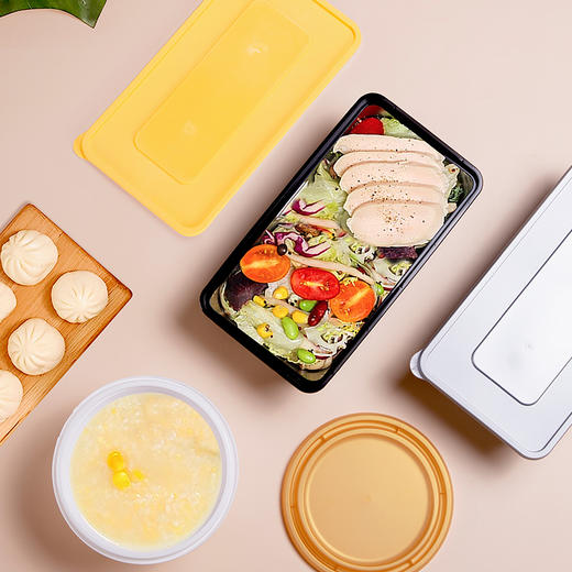 喇叭花银色一次性双层双格三格外卖打包快餐饭盒加厚长方形塑料创意便当沙拉盒200套 商品图0