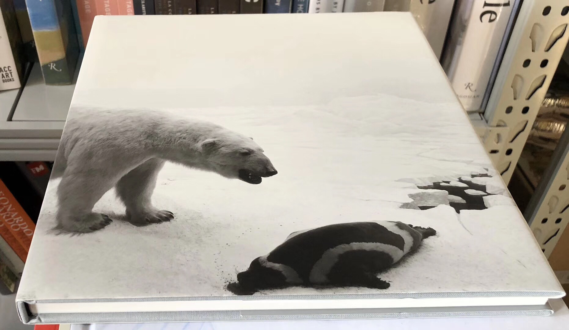 杉本博司 ポスター「POLAR BEAR」Hiroshi Sugimoto - magmatalenthub.com