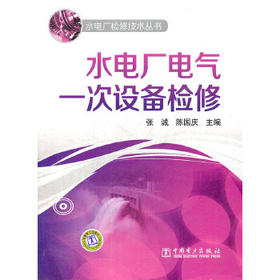 水电厂检修技术丛书  水电厂电气一次设备检修
