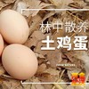 田园生态土鸡蛋（两盒起送） 商品缩略图0