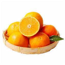 【自营】爱媛橙 又名果冻橙 8斤左右 商品图0