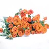 橙芭比玫瑰（5月29日下午取花），一束5支原价48元，团购21元/束！ 商品缩略图4
