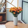 橙芭比玫瑰（5月29日下午取花），一束5支原价48元，团购21元/束！ 商品缩略图6