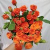 橙芭比玫瑰（5月29日下午取花），一束5支原价48元，团购21元/束！ 商品缩略图3