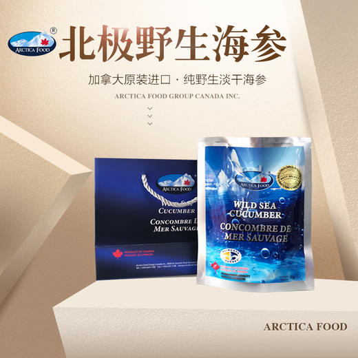 ARCTICA FOOD北极食品野生海参大金标454g 18头左右 商品图1