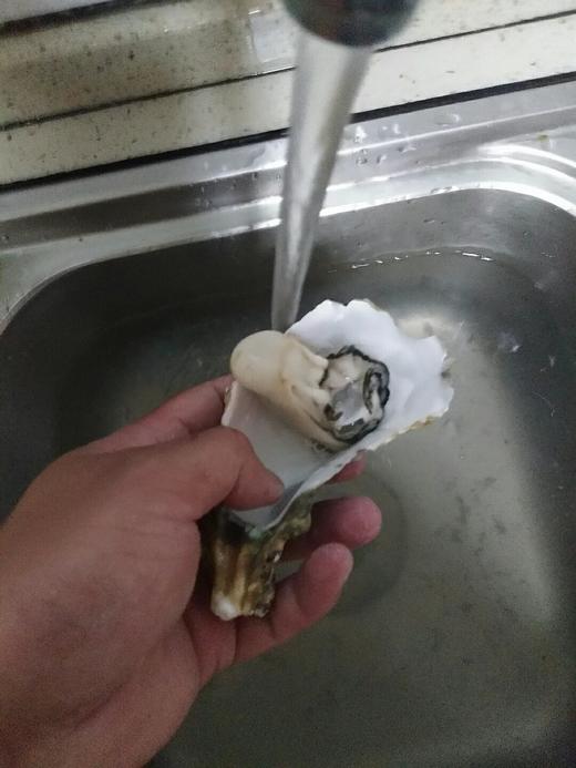 鲜活大生蚝约200一250g/1个// 商品图4