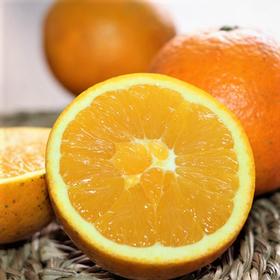 生态武夷山脐橙 | 公平贸易 |*Eco Wuyishan Navel Orange