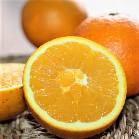 生态武夷山脐橙 | 公平贸易 |*Eco Wuyishan Navel Orange 商品图0