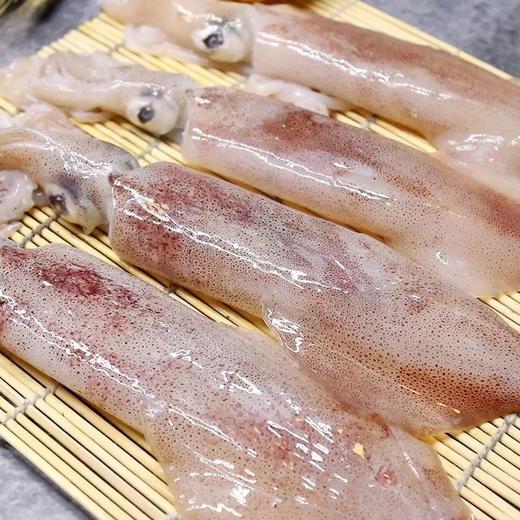 新鲜鱿鱼（1斤装）// 商品图0