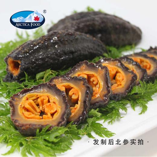 ARCTICA FOOD北极食品野生海参大金标454g 18头左右 商品图3