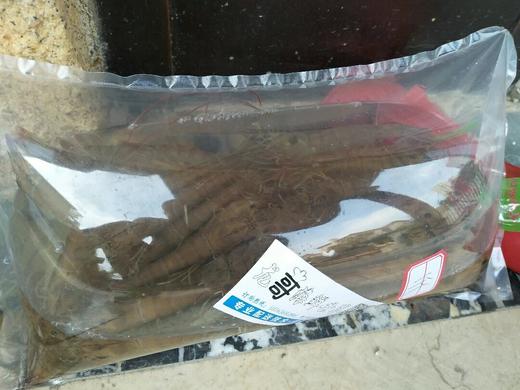 鲜活基围虾，大明虾 1斤，28一32只 商品图2