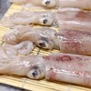新鲜鱿鱼（1斤装）// 商品缩略图1