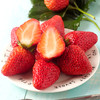 红颜草莓 优选品种 蜂媒授粉 无农残无添加 有机肥天然生态种植 商品缩略图12