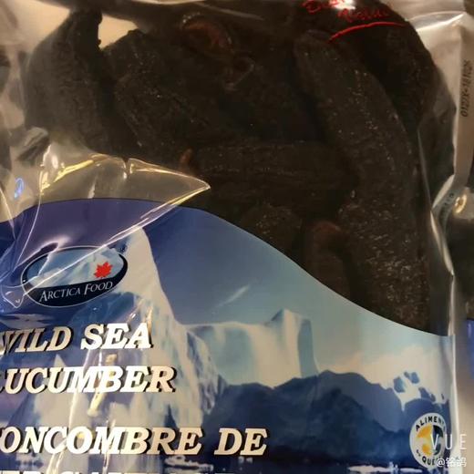 ARCTICA FOOD北极食品野生海参经济装454克 35头 ！（一般贸易） 商品图3
