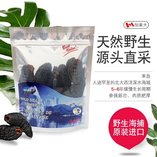 ARCTICA FOOD北极食品野生海参经济装454克 35头 ！（一般贸易） 商品图2