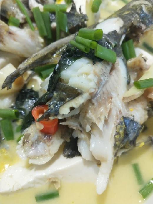 活的黄鸭叫，1斤装3一4条 商品图8