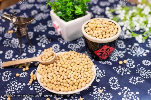 特斯拉分销员测试商品 商品图0