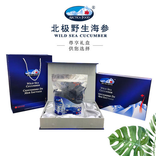 北极野生海参 ARCTICA FOOD 精品礼盒（只是盒子的价格）（一般贸易） 商品图2