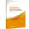 铅酸蓄电池寿命评估及延寿技术 商品缩略图0