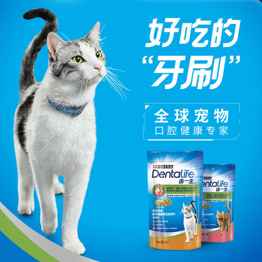齿一生猫用洁齿饼干混合口味50g*6包 商品图3