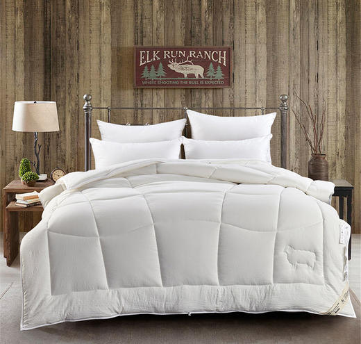 远梦澳洲羊毛双温被 商品图0