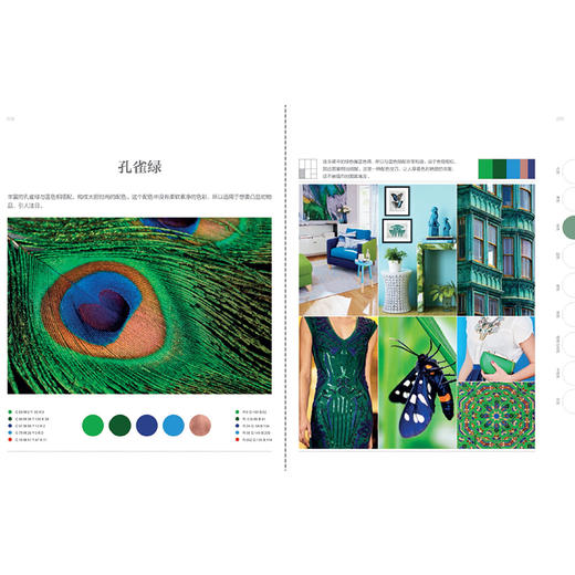 家居色彩搭配手册——配色方案及灵感来源1000例 商品图8