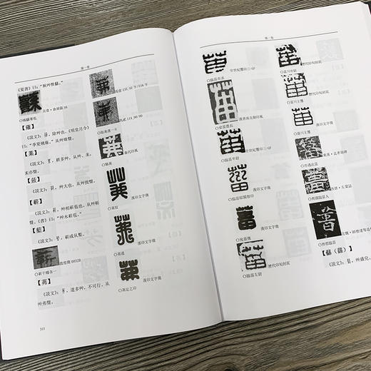 秦汉六朝字形谱 （汉字发展史 汉字隶变） 商品图4