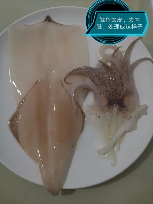 新鲜鱿鱼（1斤装）// 商品图4