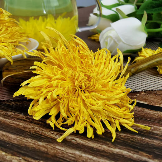 金丝皇菊大菊花茶一朵一杯黄菊胎菊贡菊可搭枸杞金银花