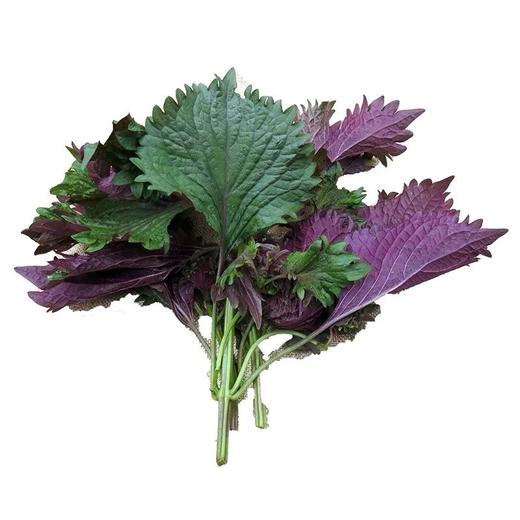 紫苏叶(约100克) 商品图0