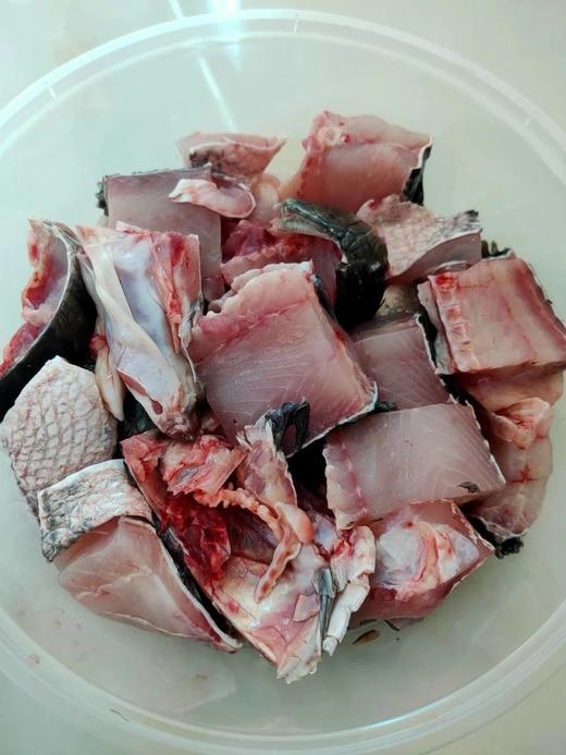 活的黑鱼，3.2一3.5斤1条适合做酸菜鱼片 商品图2